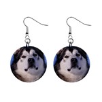 Alaskan Malamute Dog 1  Button Earrings