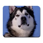 Alaskan Malamute Dog Large Mousepad