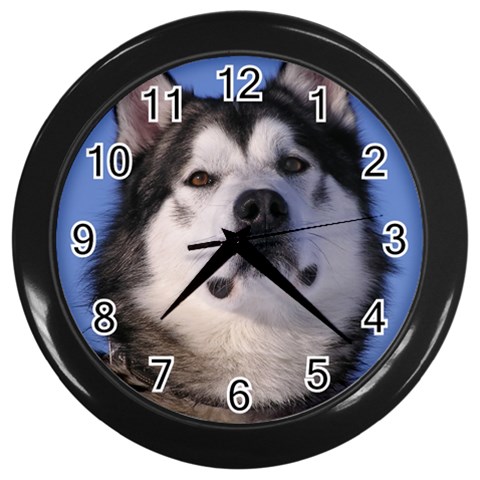 Alaskan Malamute Dog Wall Clock (Black) from ArtsNow.com Front