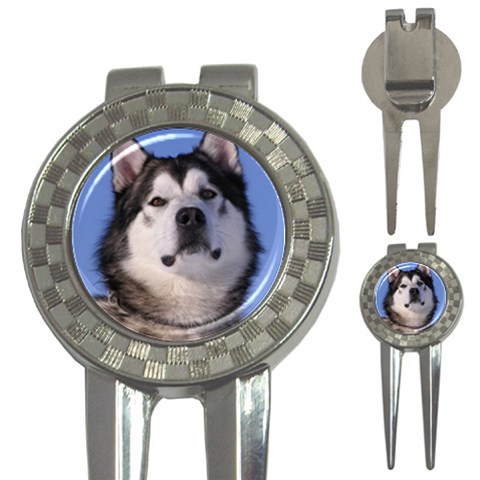 Alaskan Malamute Dog 3 Front