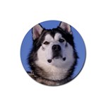 Alaskan Malamute Dog Rubber Round Coaster (4 pack)