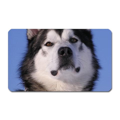 Alaskan Malamute Dog Magnet (Rectangular) from ArtsNow.com Front