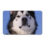 Alaskan Malamute Dog Magnet (Rectangular)