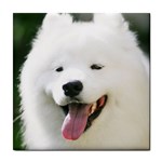 American Eskimo Dog Tile Coaster