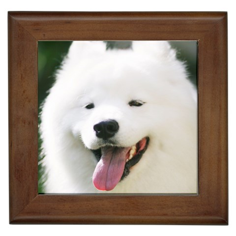 American Eskimo Dog Framed Tile from ArtsNow.com Front