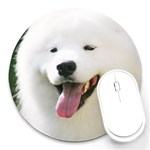 American Eskimo Dog Round Mousepad