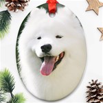 American Eskimo Dog Ornament (Oval)