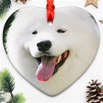 American Eskimo Dog Ornament (Heart)