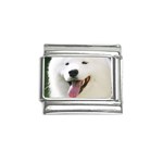 American Eskimo Dog Italian Charm (9mm)