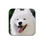 American Eskimo Dog Rubber Square Coaster (4 pack)