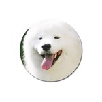 American Eskimo Dog Magnet 3  (Round)