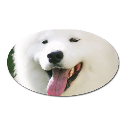 American Eskimo Dog Magnet (Oval) from ArtsNow.com Front