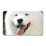 American Eskimo Dog Magnet (Rectangular)