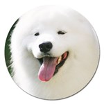 American Eskimo Dog Magnet 5  (Round)