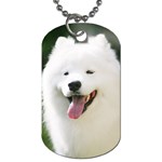 American Eskimo Dog Dog Tag (One Side)