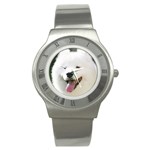 American Eskimo Dog Stainless Steel Watch