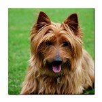 Australian Terrier Dog Tile Coaster