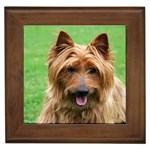 Australian Terrier Dog Framed Tile