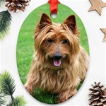 Australian Terrier Dog Ornament (Oval)