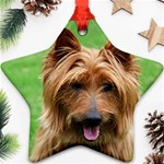 Australian Terrier Dog Ornament (Star)