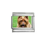 Australian Terrier Dog Italian Charm (9mm)