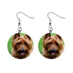 Australian Terrier Dog 1  Button Earrings