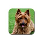 Australian Terrier Dog Rubber Square Coaster (4 pack)