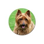 Australian Terrier Dog Magnet 3  (Round)