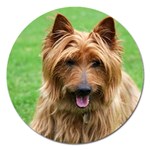 Australian Terrier Dog Magnet 5  (Round)