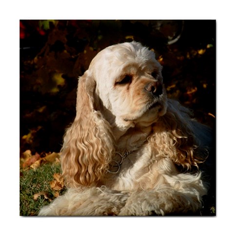 Cocker Spaniel Dog Tile Coaster from ArtsNow.com Front
