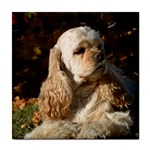 Cocker Spaniel Dog Tile Coaster