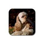 Cocker Spaniel Dog Rubber Square Coaster (4 pack)