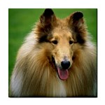 Collie Dog Tile Coaster