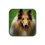 Collie Dog Rubber Square Coaster (4 pack)