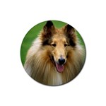 Collie Dog Rubber Round Coaster (4 pack)