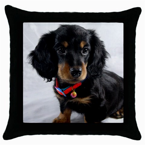 Dachshund Dog Throw Pillow Case (Black) from ArtsNow.com Front