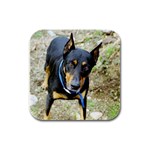 Doberman Pinscher Dog Rubber Square Coaster (4 pack)