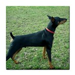 Doberman Pinscher Dog Tile Coaster