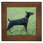 Doberman Pinscher Dog Framed Tile