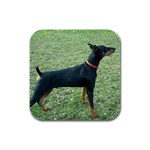 Doberman Pinscher Dog Rubber Square Coaster (4 pack)