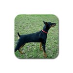 Doberman Pinscher Dog Rubber Square Coaster (4 pack)