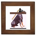 Doberman Pinscher Dog Framed Tile
