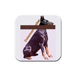 Doberman Pinscher Dog Rubber Square Coaster (4 pack)