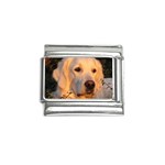 Golden Retriever Dog Italian Charm (9mm)