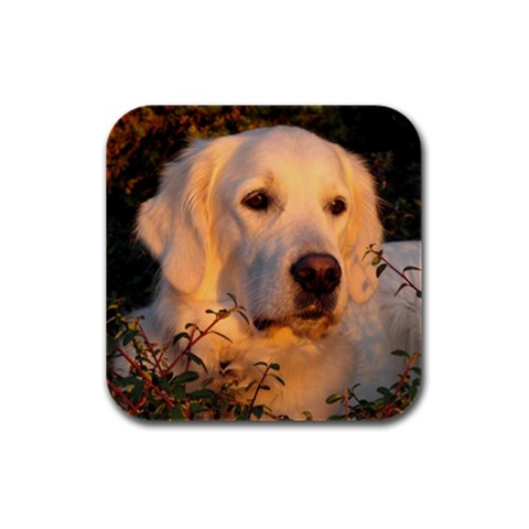 Golden Retriever Dog Rubber Square Coaster (4 pack) from ArtsNow.com Front