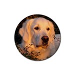 Golden Retriever Dog Rubber Round Coaster (4 pack)