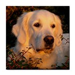 Golden Retriever Dog Tile Coaster