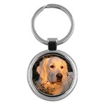 Golden Retriever Dog Key Chain (Round)