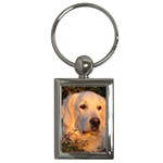 Golden Retriever Dog Key Chain (Rectangle)