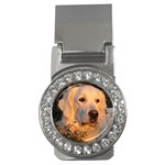 Golden Retriever Dog Money Clip (CZ)